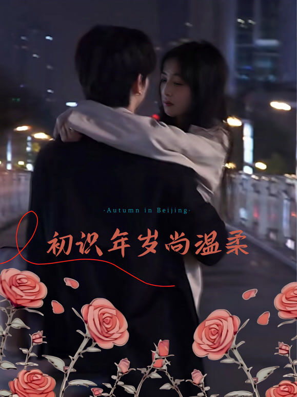 初识年岁尚温柔
