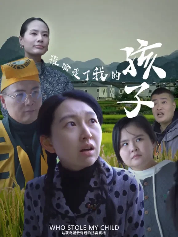 谁偷走了我的孩子短剧海报