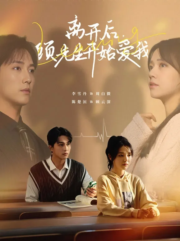 离开后，顾先生开始爱我短剧海报