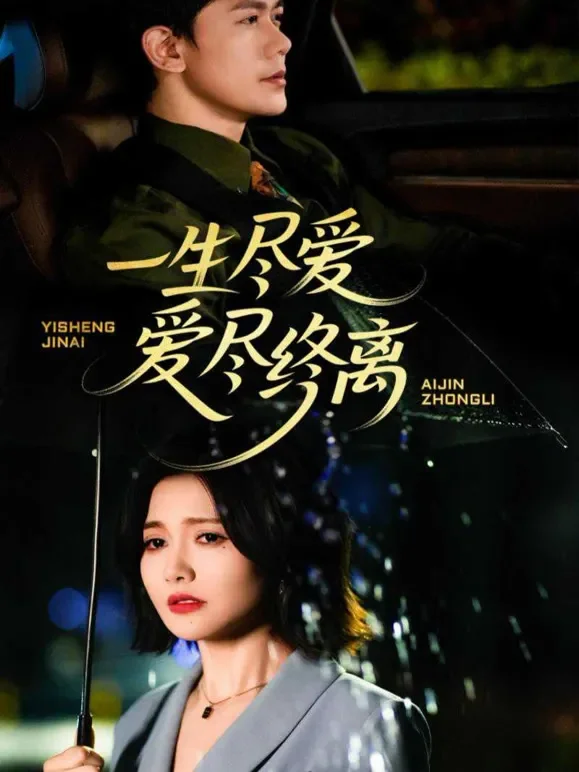 一生尽爱爱尽终离短剧海报