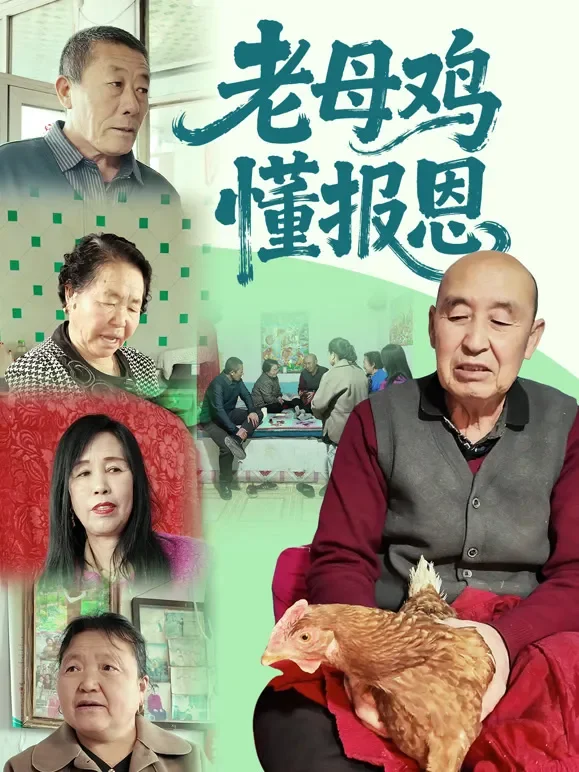 老母鸡懂报恩短剧海报