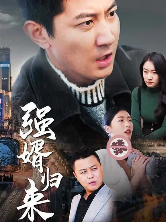 强婿归来短剧海报