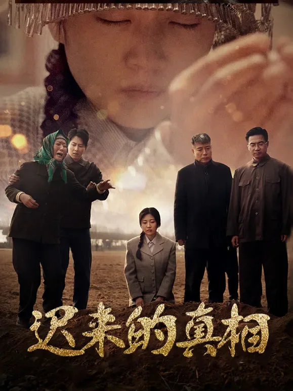 迟来的真相短剧海报