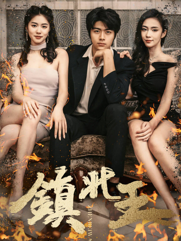 《镇北王》