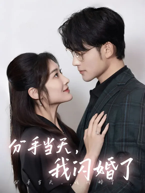 分手当天，我闪婚了短剧海报