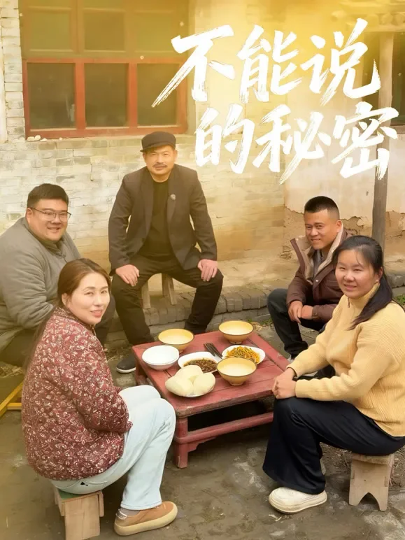 不能说的秘密短剧海报