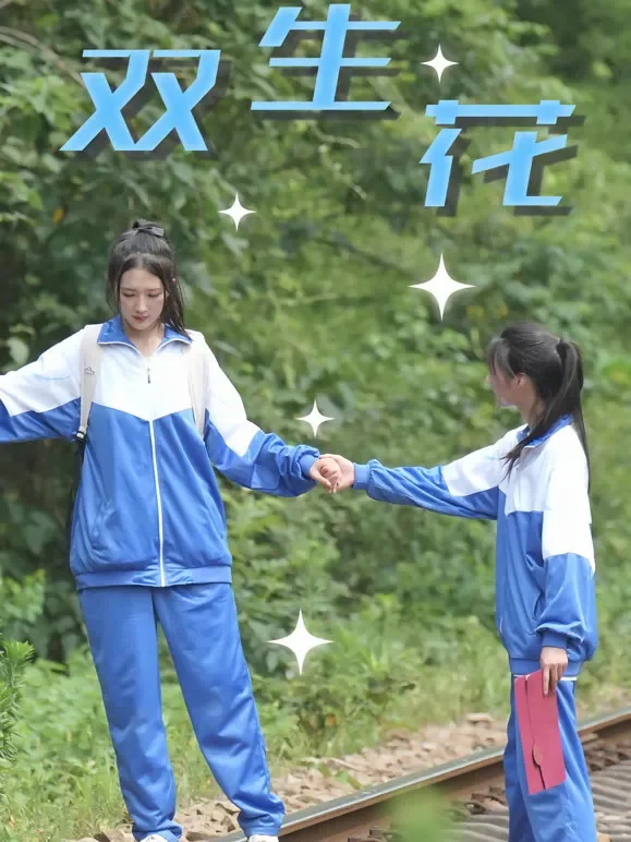 双生花短剧海报