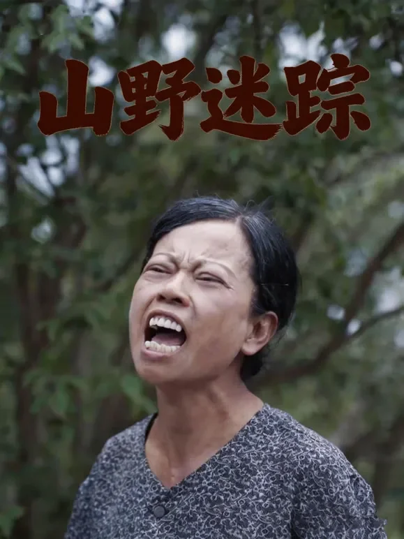 山野迷踪短剧海报