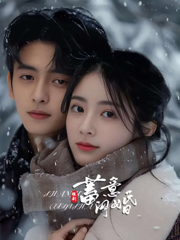 蓄意闪婚短剧海报