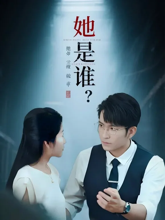 她是谁短剧海报