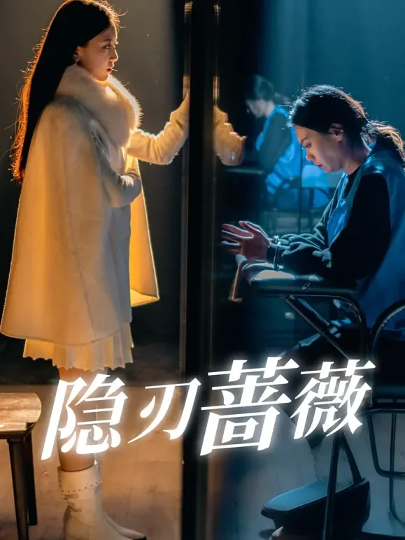 隐刃蔷薇短剧海报