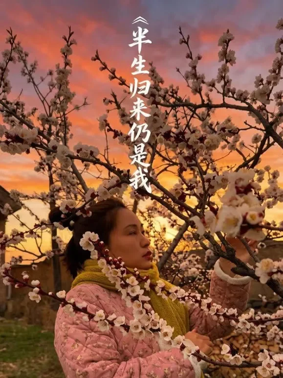 半生归来仍是我短剧海报