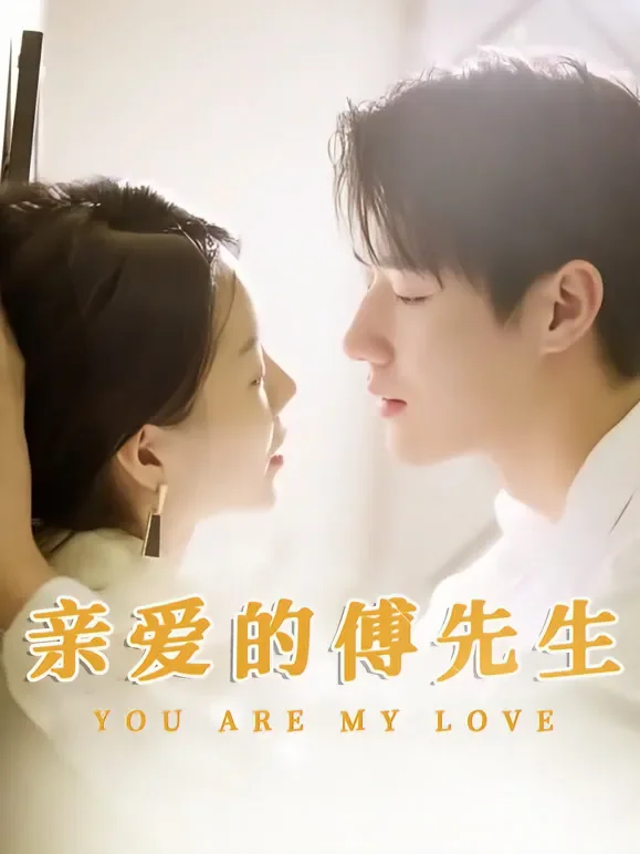 亲爱的傅先生短剧海报