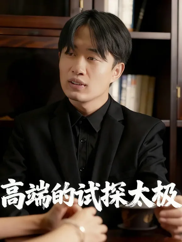 高端的试探太极短剧海报