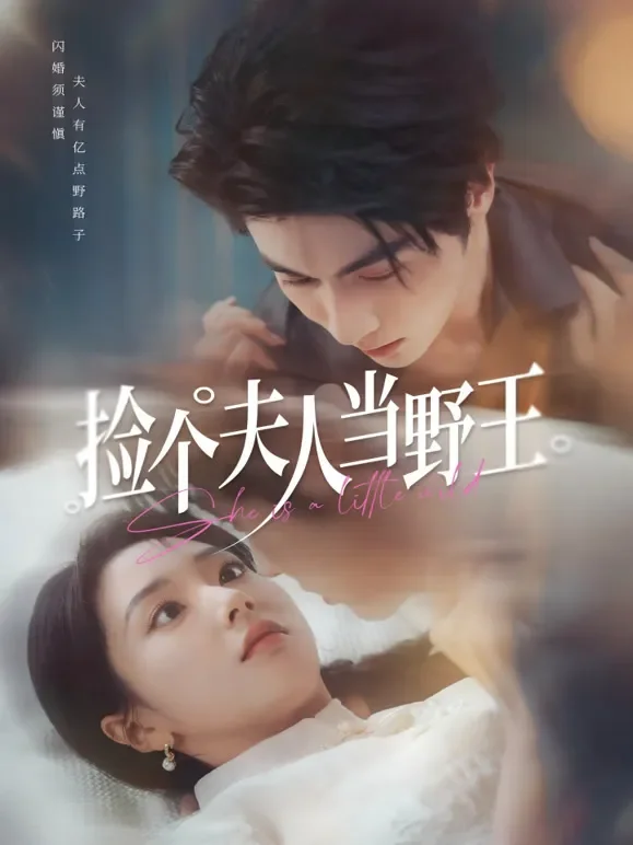 捡个夫人当野王短剧海报