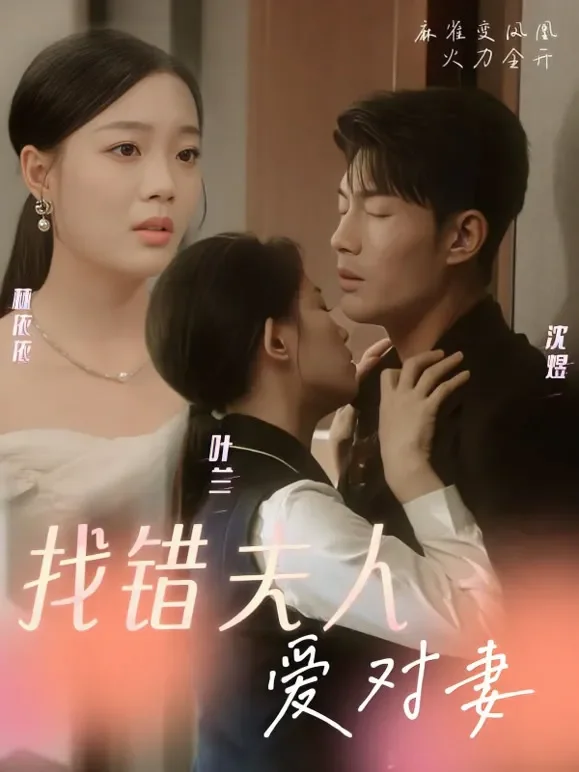 找错夫人爱对妻短剧海报