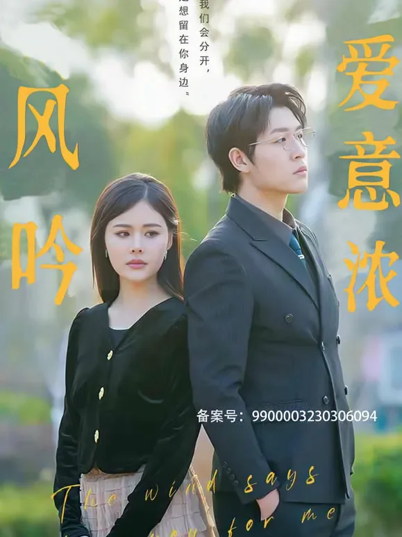 风吟爱意浓短剧海报