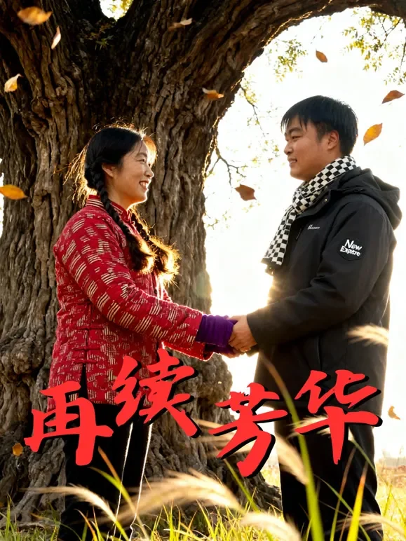 再续芳华短剧海报