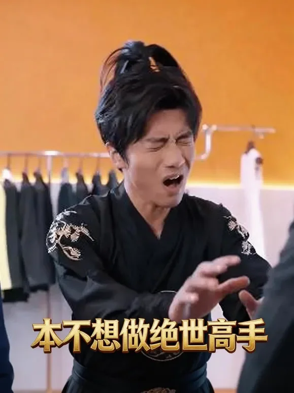 本不想做绝世高手短剧海报