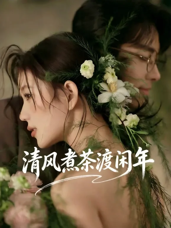 清风煮茶渡闲年短剧海报