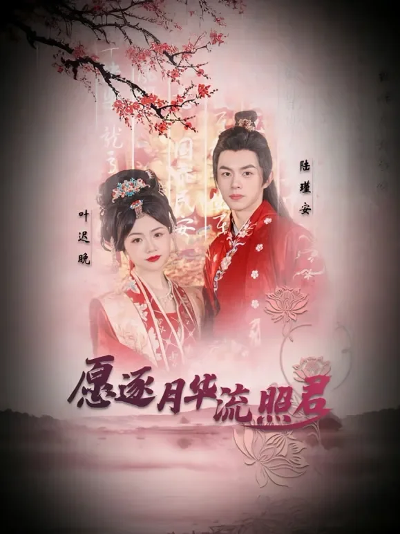 愿逐月华流照君短剧海报