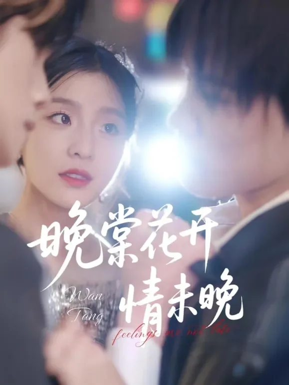晚棠花开情未晚短剧海报