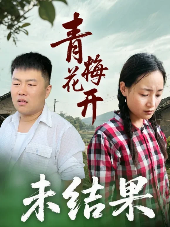 青梅开花未结果短剧海报