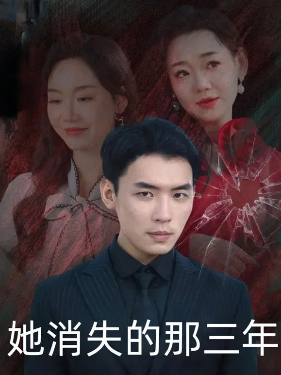 她消失的那三年短剧海报