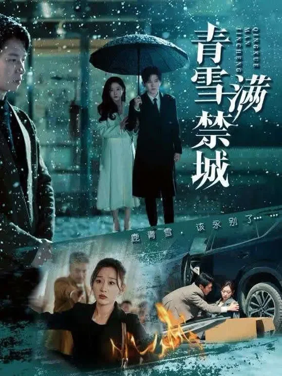 青雪满禁城短剧海报