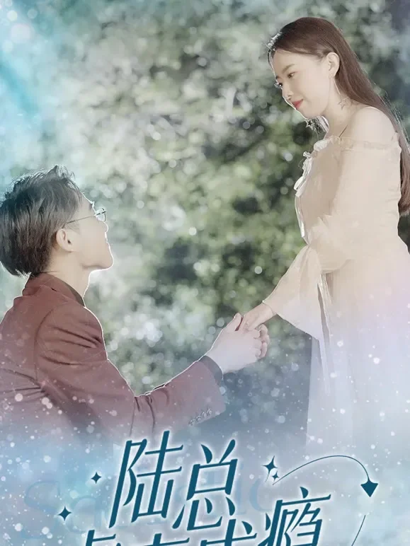 陆总虐妻成瘾短剧海报