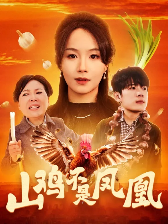 山鸡不是凤凰短剧海报