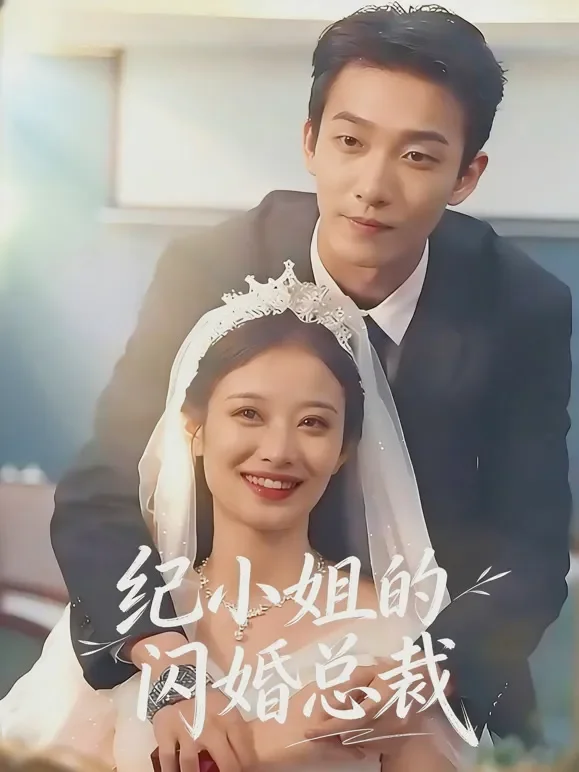纪小姐的闪婚总裁短剧海报