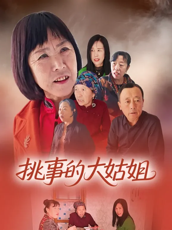 挑事的大姑姐短剧海报