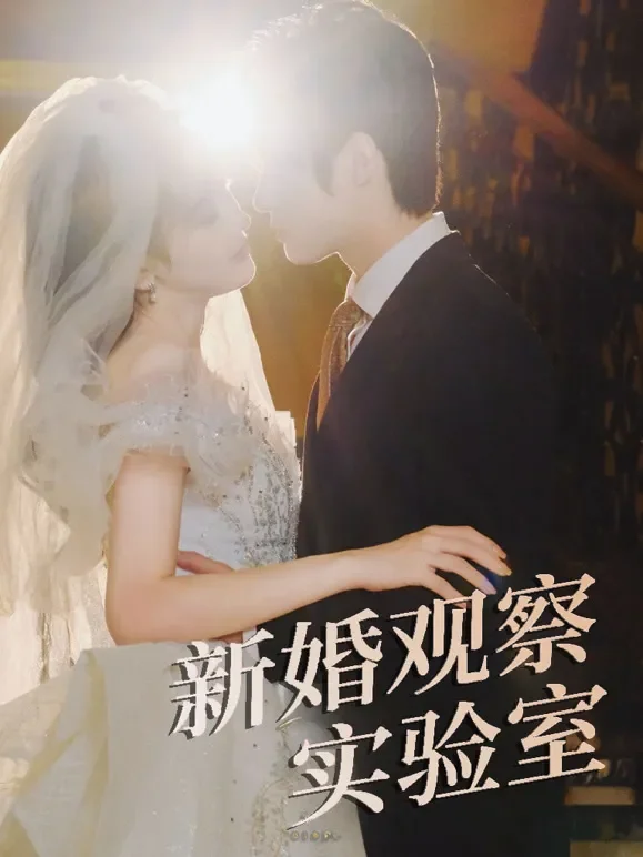 新婚观察实验室短剧海报