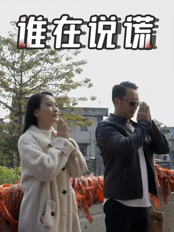 谁在说谎短剧海报