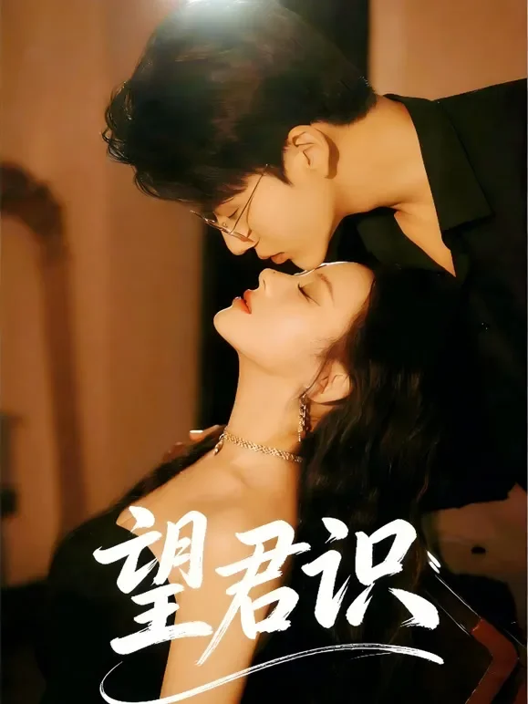 望君识短剧海报