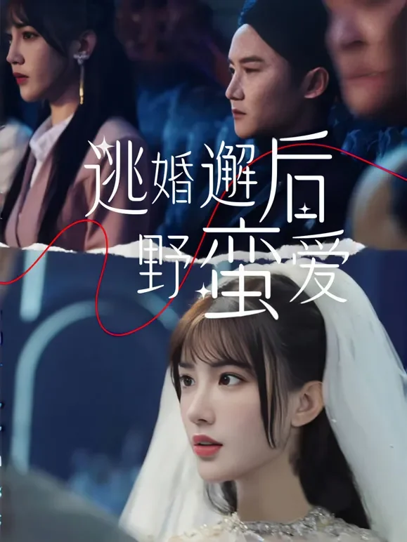 逃婚邂逅野蛮爱短剧海报