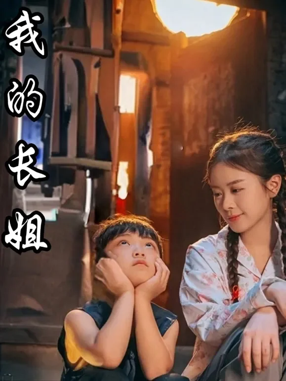 我的长姐短剧海报