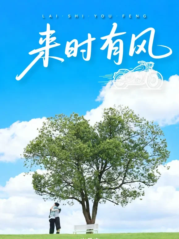来时有风短剧海报