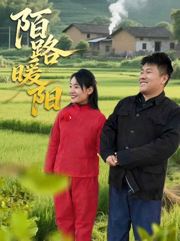陌路暖阳短剧海报