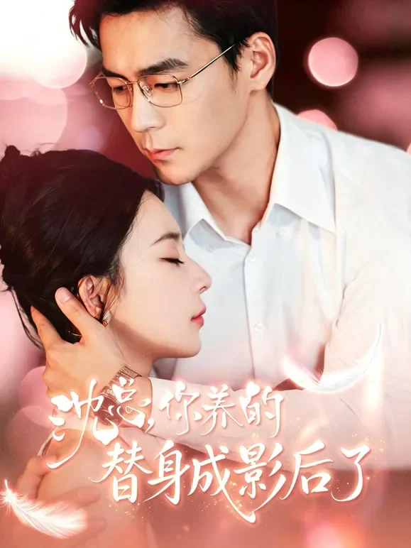 沈总，你养的替身成影后了短剧海报