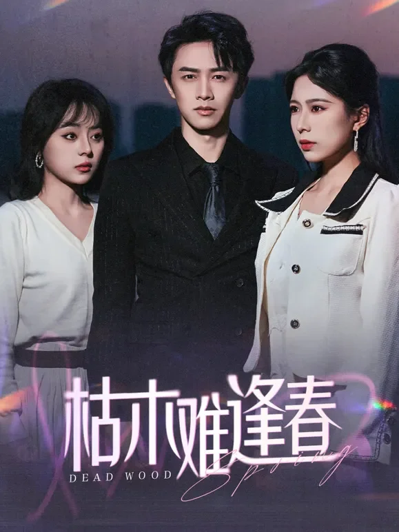 枯木难逢春短剧海报