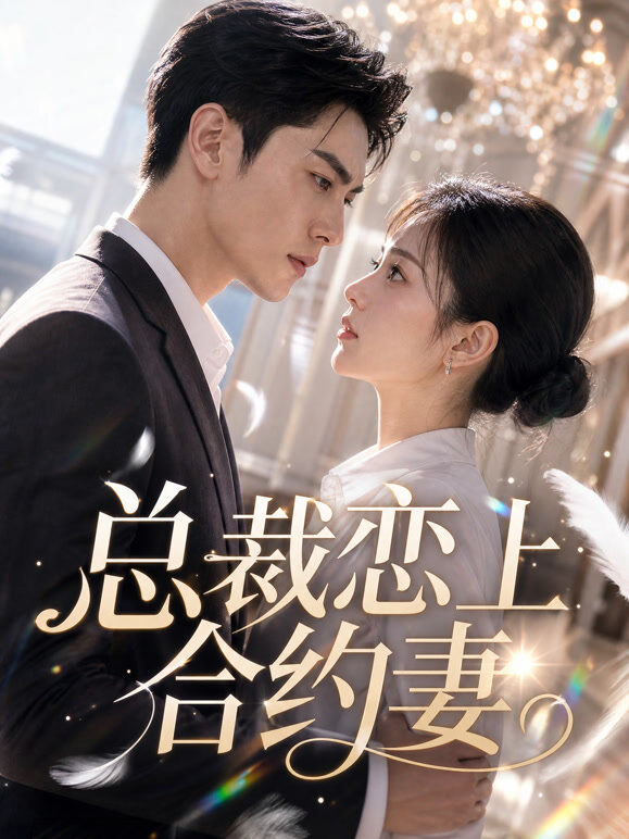 总裁恋上合约妻