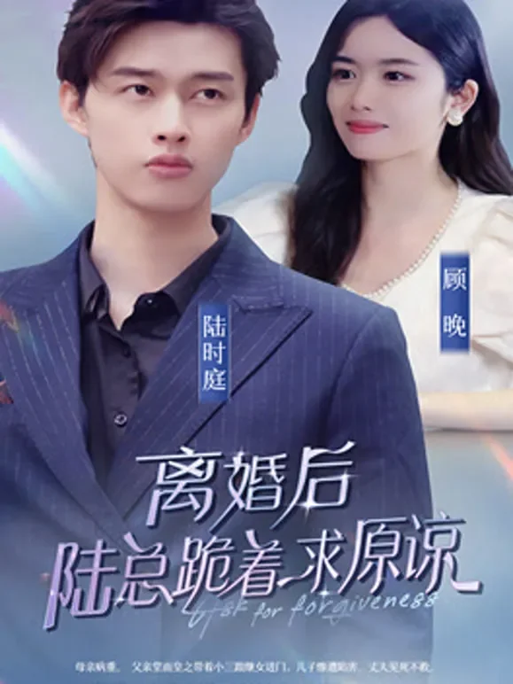 离婚后，陆总跪着求原谅短剧海报