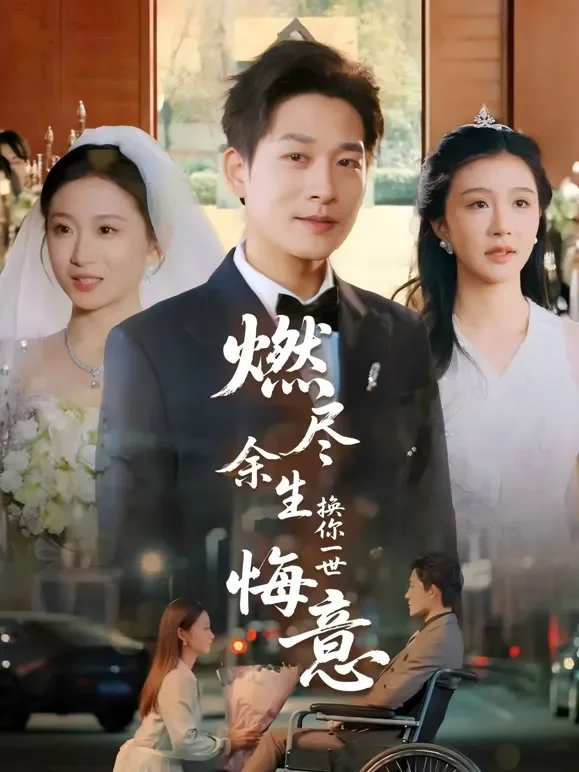 燃尽余生换你一世悔意短剧海报
