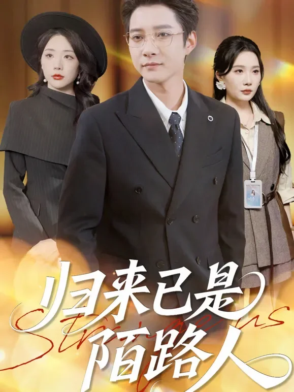 归来已是陌路人短剧海报