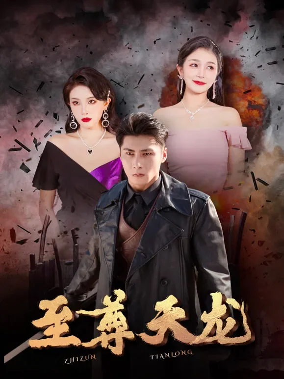 至尊天龙短剧海报