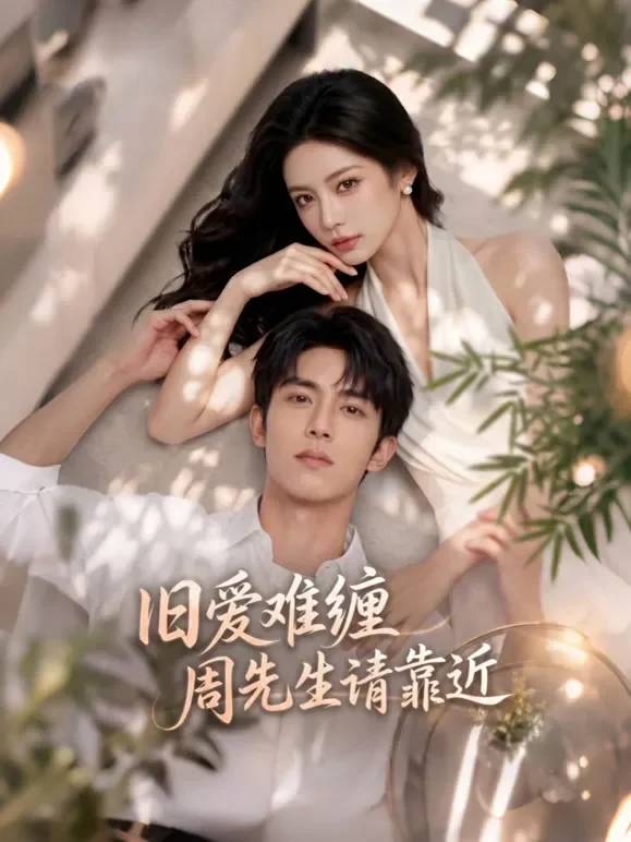 旧爱难缠：周先生请靠近短剧海报