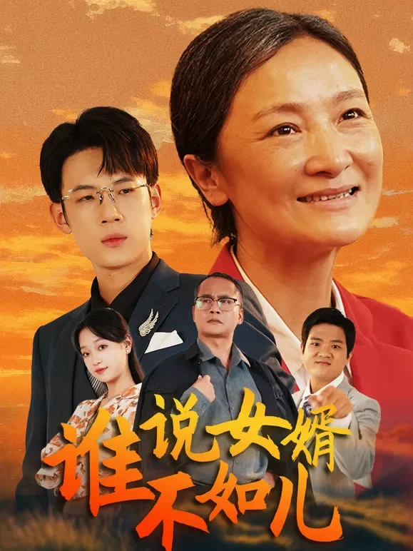 谁说女婿不如儿短剧海报