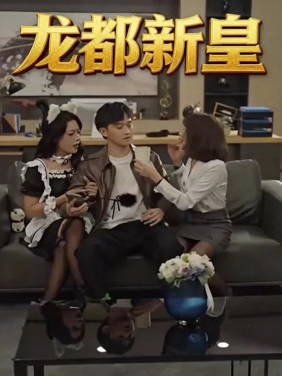 龙都新皇短剧海报